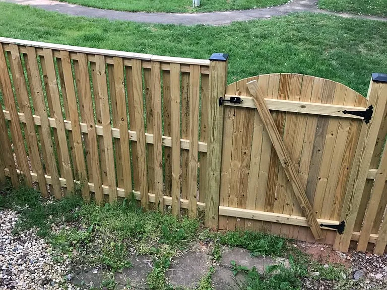 New fenced backyard