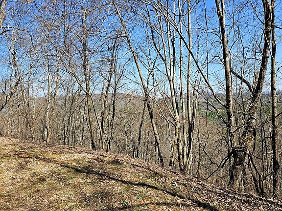 4th image of 39 Merlin Trail Warbler Rd