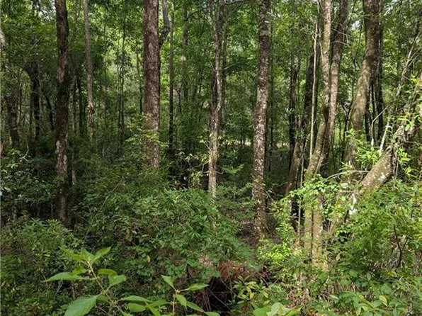 7679 Saturn Ln, Wilmer, AL 36587