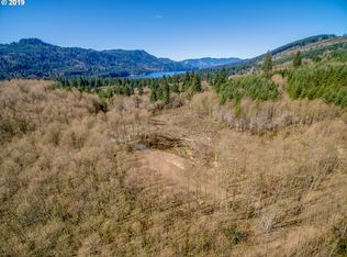 1128 Yale Bridge Rd, Amboy, WA 98601