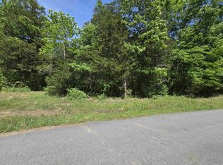 20 Della Carter Dr, Conway, AR 72032