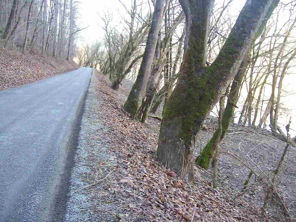 1st image of 984 Clinch River Cir