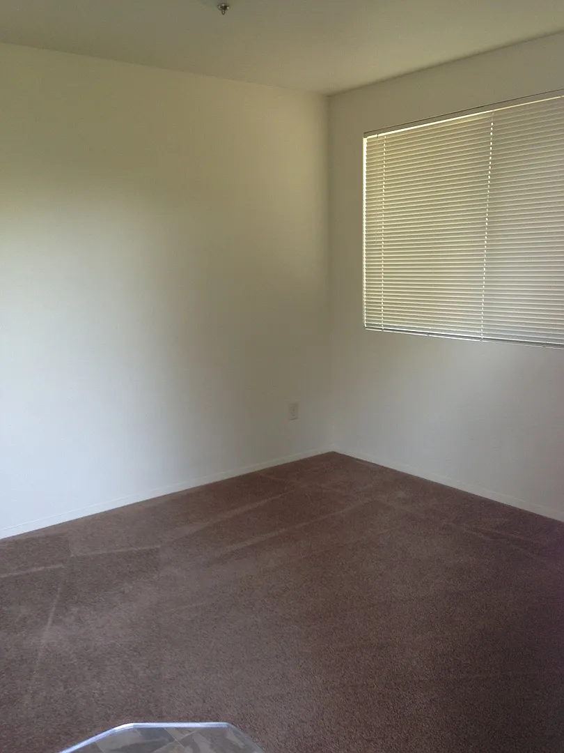1400 Applegate St APT 241 photo 1