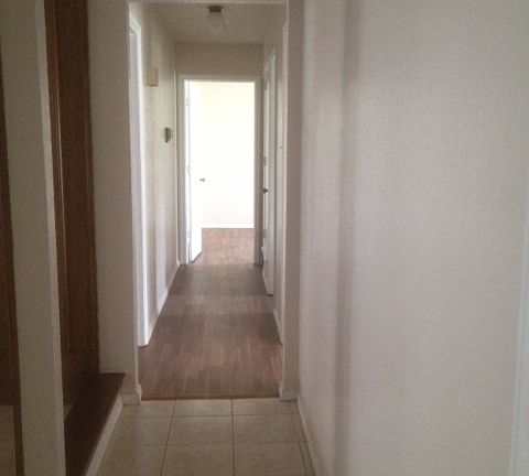 4th image of 3805 Twin Creek Dr