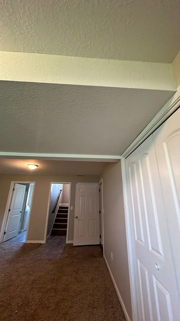 Spacious 4 Bed / 3 Bath Bi-Level Duplex in Washington, IL — Photo 3