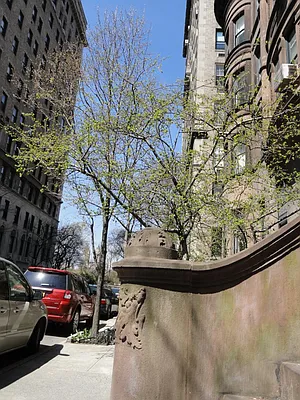 Rented by Prince Real Estate Associates LLC | media 52