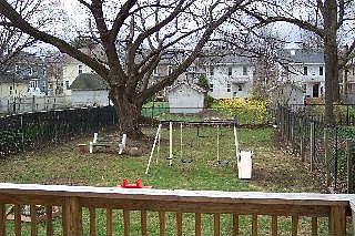 Large fenced in backyard
