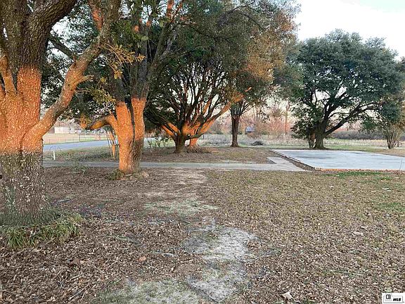 5th image of 1235 Highway 858