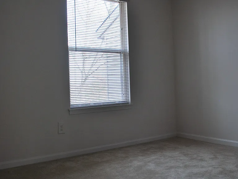 9192 Forest Breeze Ct — Photo 13