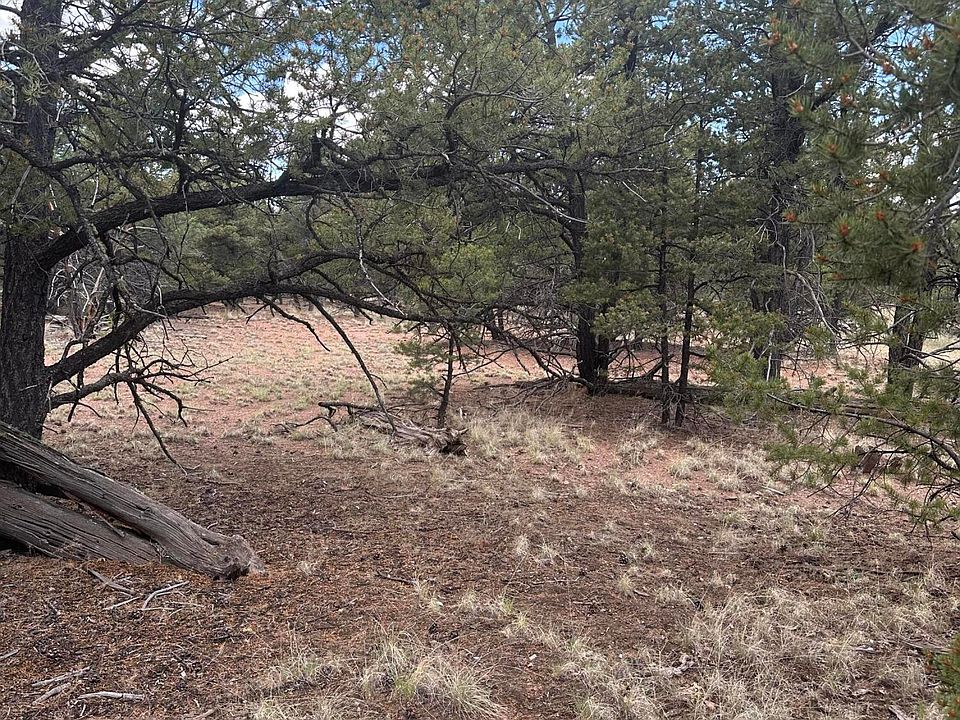 2nd image of 184 Wilderness Cir