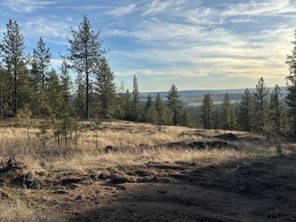 Nka Landon Ln, Spokane, WA 99208