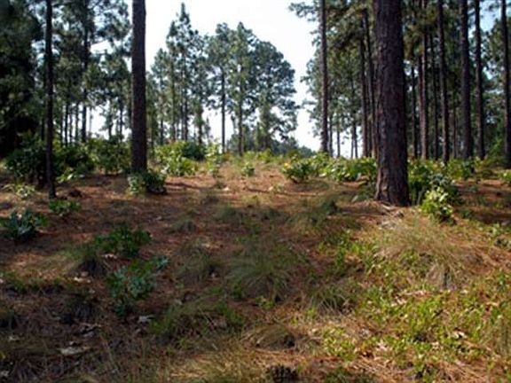 4th image of TBD Deerwood Lane