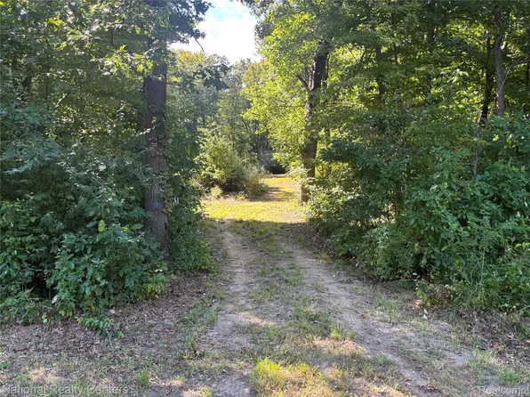 0 Fry Dr, Grass Lake, MI 49240