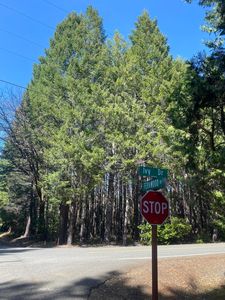 150 Ivy Dr, Cave Junction, OR, 97523