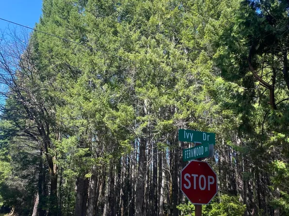 150 Ivy Dr, Cave Junction, OR 97523