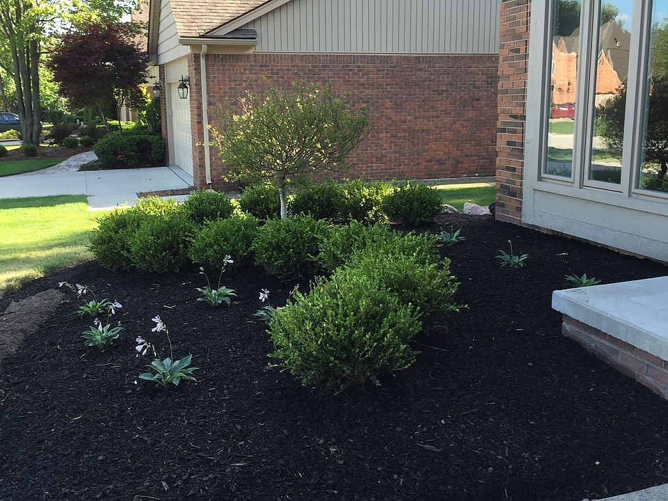 2nd image of 351 Silvervale Dr