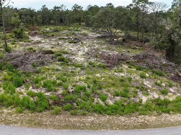 Xx Sw Begonia Ct Lot 15, Dunnellon, FL 34431