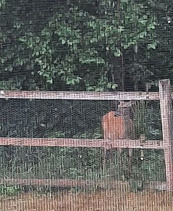 4th image of 14 Yeaton Ln