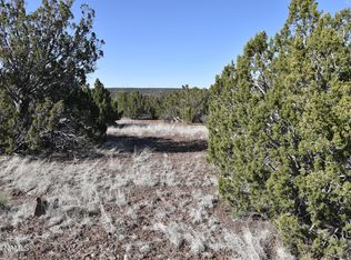 1480 E Kruger Long Rd #552, Williams, AZ 86046