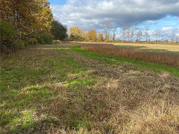 3rd image of 2740 Maple Rd Lot 35