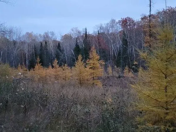 0 24th Ave NE, Remer, MN 56672