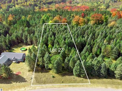 LOT 23 Lipp Farm Rd, Benzonia, MI, 49616