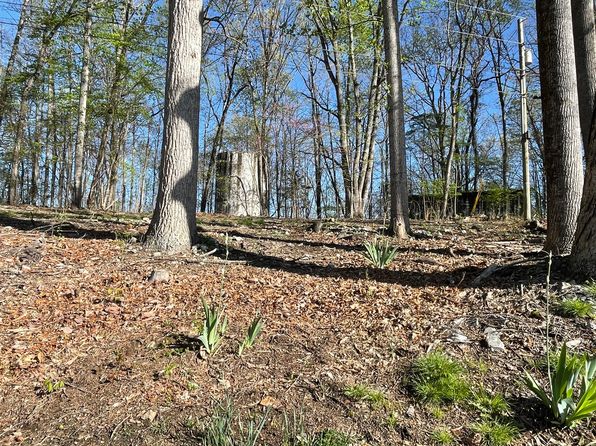 213 Big Springs Rd, Rogersville, TN 37857