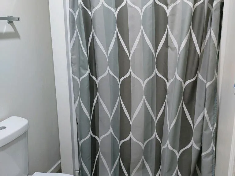 Master bath shower