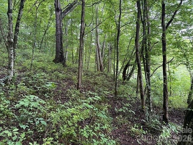 1st image of Tbd Meadow Fork Rd