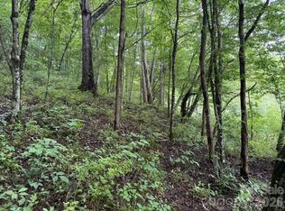 Tbd Meadow Fork Rd, Hot Springs, NC 28743
