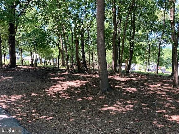 4th image of 2400 Wayne Ave