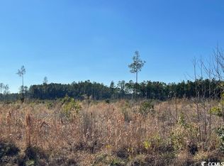 Cheyenne Rd TRACT B, Conway, SC 29526