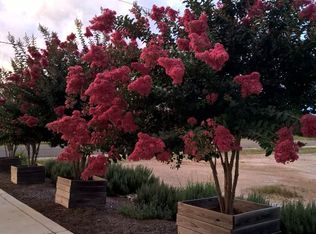 0314 Toucan Dr, Spring Branch, TX 78070