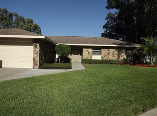 13324 Lake George Ln, Tampa, FL 33618