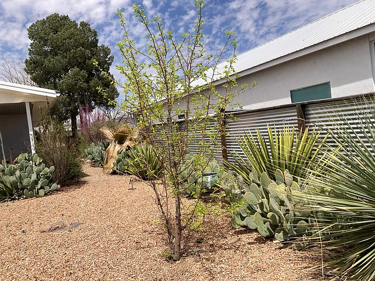 104 E Waco St — Photo 17