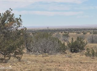 205 Chevlon Canyon Rnch, Heber, AZ 85928