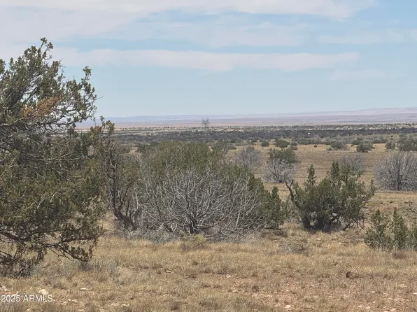 Lot 205 Chevlon Canyon Ranch -- #205, Heber, AZ 85928