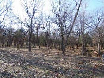 1st image of 4201 William D Tate Ave