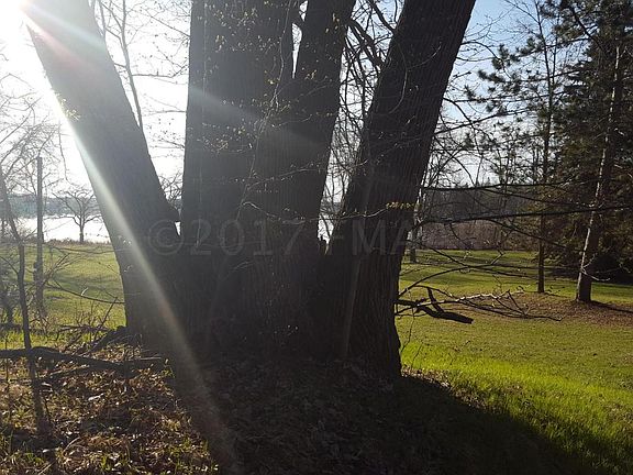 3rd image of 38398 Walker Lake Dr