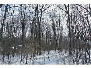 1st image of 3645 Antoinette Dr