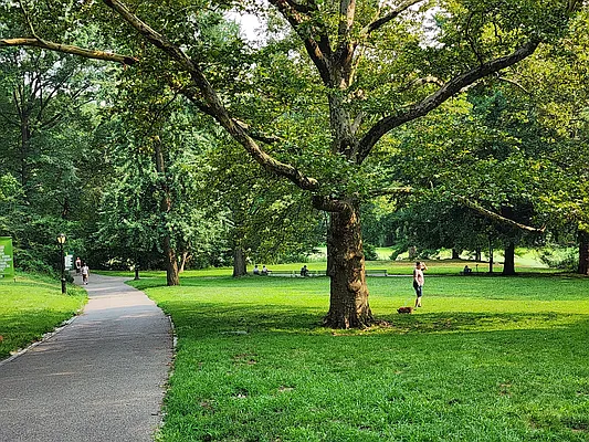 Rented by Bond New York | media 2