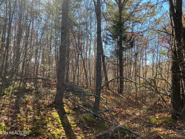 Big 4 Rd, La Follette, TN 37766