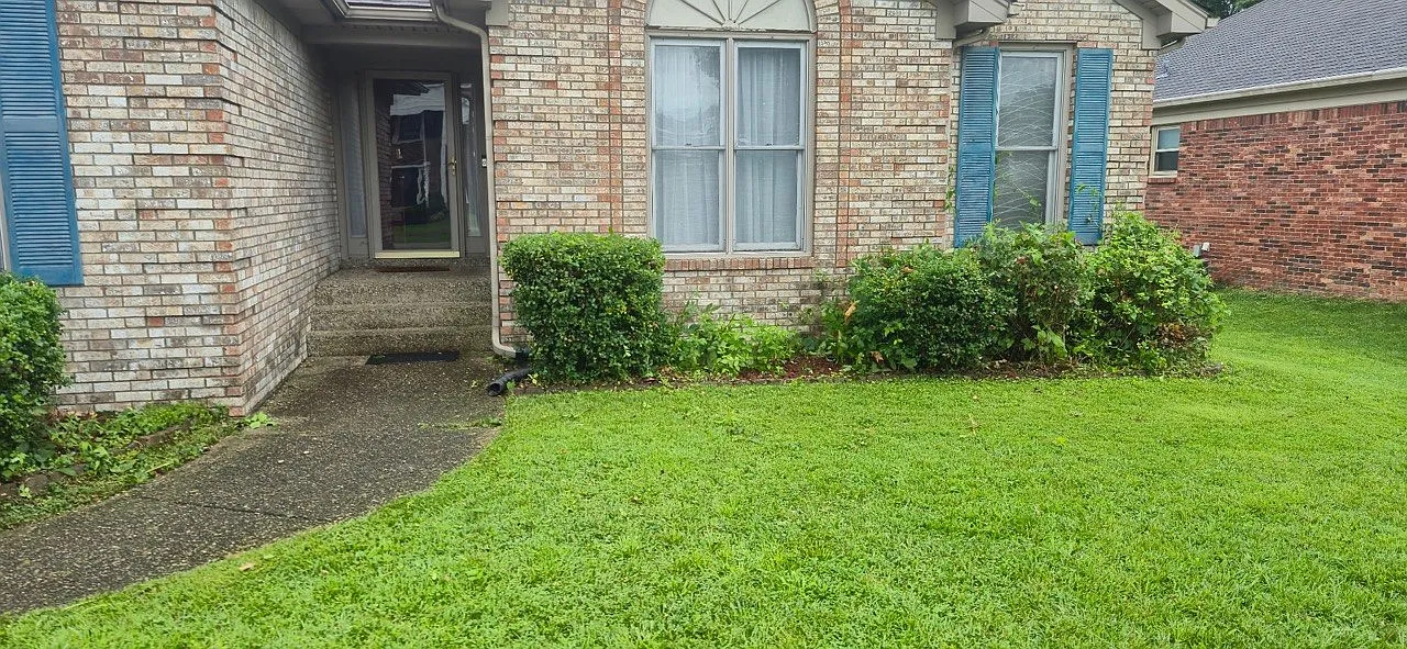 3 bed, 2600 sqft, $2,000 — Photo 3