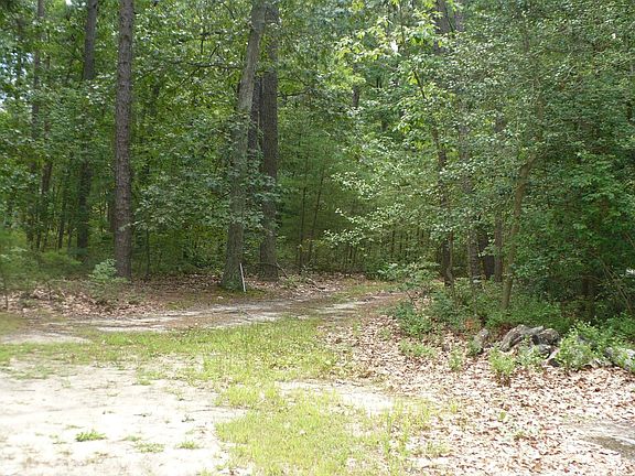 Additional 160x100 Buildable Lot Included!