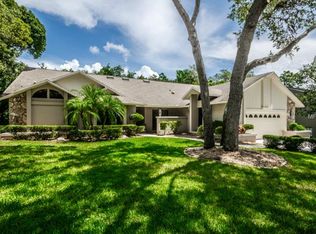 1056 Eniswood Pkwy, Palm Harbor, FL 34683