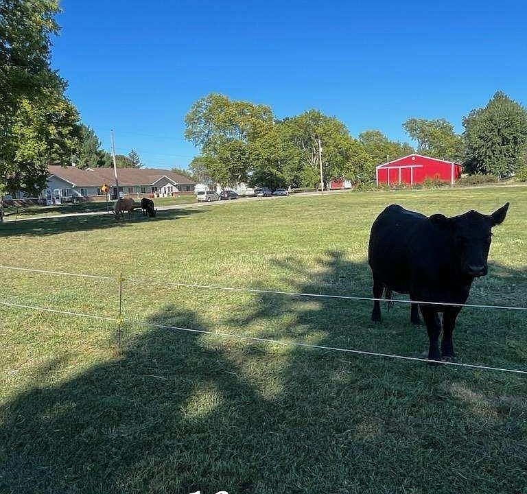 1606 Washington St, Keithsburg, IL 61442 Zillow