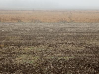 County Road 10, Long Prairie, MN, 56347