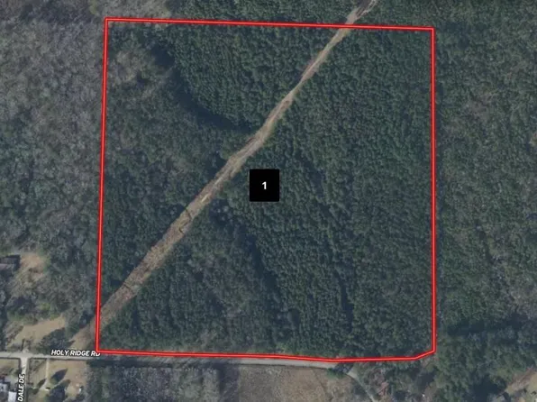 0 Holy Ridge Rd, Traskwood, AR 72167