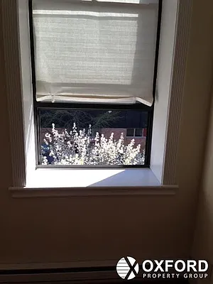 Rented by Oxford Property Group | media 16