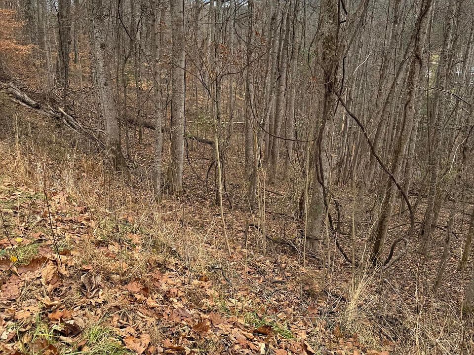 2nd image of 71 Golf Course Rd